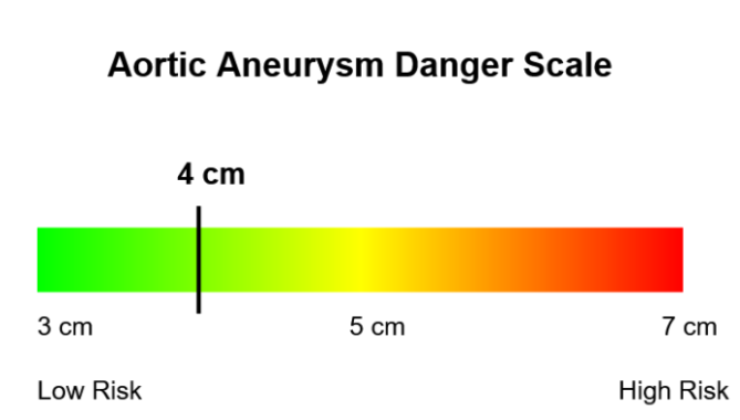 Aortic Danger Scale